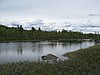 IMG_0695.JPG