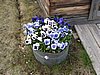 IMG_0699.JPG