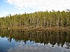 IMG_0703.JPG