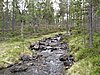 IMG_0707.JPG
