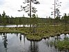 IMG_0708.JPG