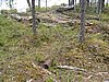 IMG_0709.JPG