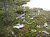IMG_0711.JPG