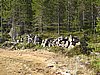 IMG_0713.JPG
