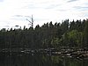 IMG_0714.JPG