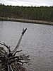 IMG_0717.JPG