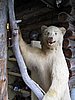 IMG_0722.JPG