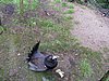 IMG_0741.JPG