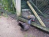 IMG_0742.JPG