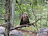 IMG_0744.JPG