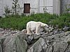 IMG_0749.JPG