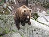 IMG_0752.JPG