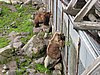 IMG_0753.JPG