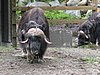 IMG_0755.JPG
