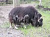 IMG_0758.JPG