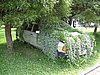 IMG_0783.JPG