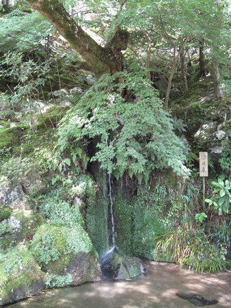 IMG_0819.JPG