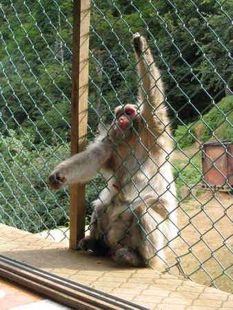 IMG_0864.JPG