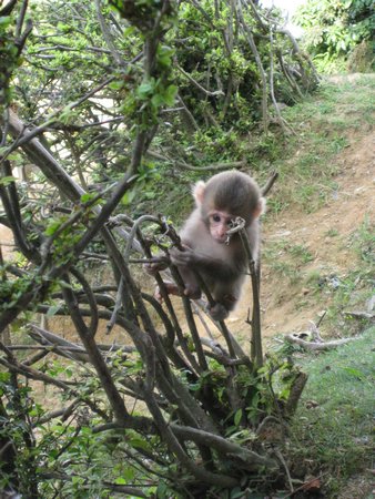 IMG_0875.JPG