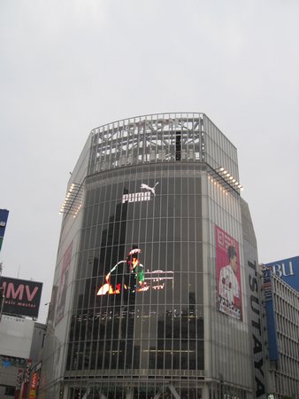 IMG_1000.JPG