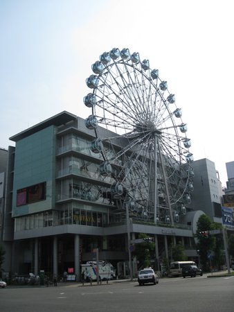 IMG_1072.JPG