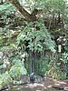 IMG_0819.JPG