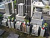 IMG_0828.JPG
