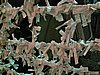 IMG_0839.JPG