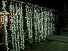 IMG_0841.JPG