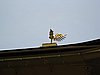 IMG_0846.JPG