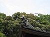 IMG_0850.JPG