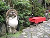 IMG_0851.JPG