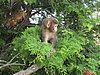 IMG_0872.JPG