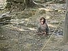 IMG_0873.JPG