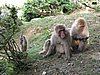 IMG_0874.JPG
