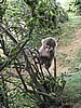 IMG_0875.JPG