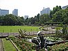 IMG_0916.JPG