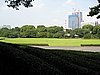 IMG_0923.JPG