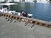 IMG_1005.JPG