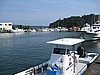 IMG_1006.JPG