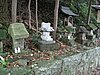IMG_1020.JPG