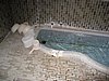 IMG_1035.JPG