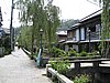 IMG_1038.JPG