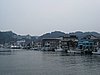 IMG_1049.JPG