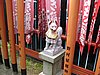IMG_1075.JPG