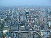 IMG_1081.JPG