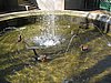 IMG_0477.JPG