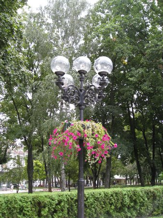 IMG_1131.JPG