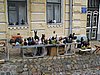 IMG_1178.JPG