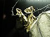 IMG_1192.JPG